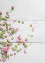 Vertical flat lay background of scattered rose petals, buds and tiny green leaves