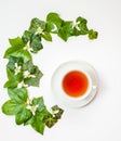 Vertical flat-lay pattern with ivy leaves and white spring flowers together with a cup of tea. White background. Copy space. Royalty Free Stock Photo