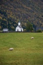Vertical of a flock of sheep grazing in a green meadow near a chapel in green mountains