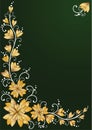 Vertical floral backgrounds.