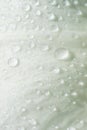 Wet delicate white rose petal with lots of tiny water droplets Royalty Free Stock Photo