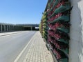 Vertical flower beds for plants on the wall by the road