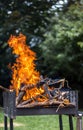 Vertical focus shot of burning wood in a fire pit outdoors Royalty Free Stock Photo