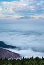 Vertical Fog and Clouds Mt. Mitchell Mountains NC Royalty Free Stock Photo