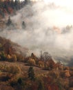 Vertical foggy autumn landscape, scenic nature scenery, Carpathian mountains. Ukraine, Europe