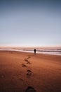 Vertical of footsteps of a man walking on the sand along the beach at sunset. Royalty Free Stock Photo