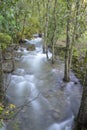 Vertical Forest River Stream with Silky Water Flowing Between Trees Royalty Free Stock Photo