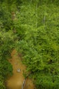 Vertical forest view, muddy stream winding through dense summer greenery after rain Royalty Free Stock Photo