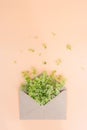 Vertical format of photo envelope full of tiny white flowers.Concept