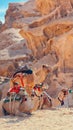 Vertical of four dromedaries in a desert with rocky sunlit cliffs blurred background