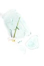vertical fragment of one glass jar damaged cracked and cracked, splinters on a white.Two flowers ka symbol of love. concept of
