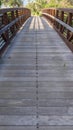 Vertical frame Bridge with wood deck and rusty metal railing over a lake with grassy shore