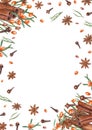 Vertical frame of cinnamons, star anise, sea buckthorn, pine needles, cloves. Watercolor illustration isolated on white.