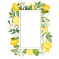 Vertical frame of hand drawn blooming lemon tree branches, flowers, lemons