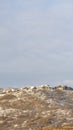 Vertical frame Houses on neighborhood nestled on top of snowy hills viewed in winter Royalty Free Stock Photo