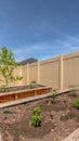 Vertical frame Vegetables growing in wooden raised garden beds filled with soil under blue sky