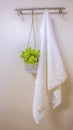 Vertical frame White towel and ornamental plant hanging on a wall rod inside a bathroom Royalty Free Stock Photo