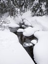 Vertical of a frozen and snow-covered creek with the branches of snowy trees tilted on it