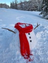 VERTICAL: Funny snowman gets destroyed by rising temperatures of climate change.