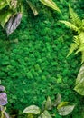 Vertical garden background, green moss in office or home interior for wallpaper Royalty Free Stock Photo