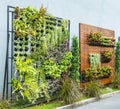 Vertical garden Royalty Free Stock Photo