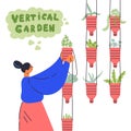 Vertical garden concept.Woman grows plants