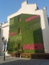 Vertical garden on the Exterior wall of a building