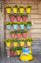 Vertical garden with flower pots