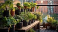 Vertical garden on a high-rise apartment balcony