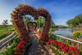 Vertical garden in the park.