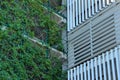 Vertical garden at the parking lot. Green architecture example. Modern architecture