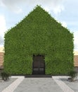 Vertical gardening facade of the house with a sloping roof. Modern green architecture. The phytowall of the building is overgrown