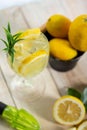 Vertical of a glass of lemon juice with ice cubes served next to lemons and a juice squeezer Royalty Free Stock Photo