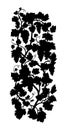 Vertical grape vine silhouette. Royalty Free Stock Photo