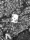 Vertical grayscale shot of an ace of spades playing card on the ground Royalty Free Stock Photo