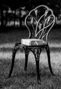 Vertical grayscale shot of beautiful iron chair in the garden with a book on it