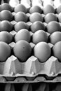 Vertical grayscale shot of a box with eggs