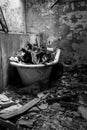 Vertical grayscale shot of a broken bathroom in an abandoned home