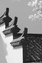 Vertical grayscale shot of the tiles of an old building. Shanghai Royalty Free Stock Photo