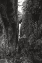 Vertical grayscale shot of a trail through Lake Superior Provincial Park, Ontario, Canada Royalty Free Stock Photo