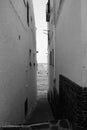 Vertical grayscale shot of two symmetric buildings next to each other with the sea peaking through