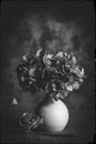 Vertical grayscale shot of wilting flowers in a vase surrounded by steam