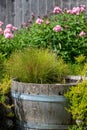 Vertical of a green hairy-looking pond plant in a half-barrel water feature in a garden. Royalty Free Stock Photo