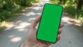 Vertical Green Screen Phone Mockup on Forest Path Royalty Free Stock Photo