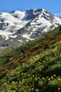 Vertical of a green slope of Ortler mountains in Sulden, South Tyrol, Italy Royalty Free Stock Photo