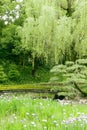 Vertical green trees, bridge, flowers in park Royalty Free Stock Photo