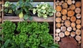 Vertical green and wood garden landscape and design