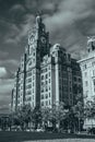 Vertical greyscale of the Liver Building in the city of Liverpool