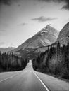 Vertical greyscale shot of a highway in the center of a forest and high mountains in the background