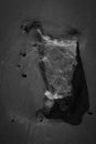 Vertical greyscale shot of a rock at the beach